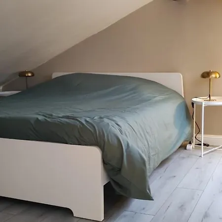 Duplex A Deux Pas De La Gare 南锡