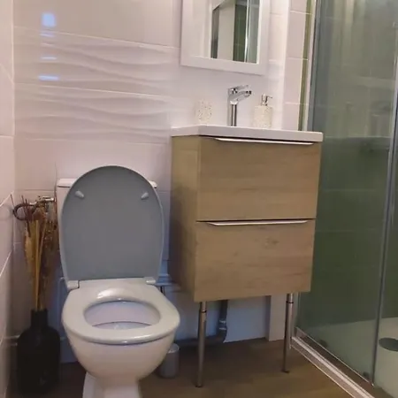 Duplex A Deux Pas De La Gare 公寓 南锡